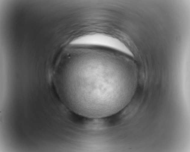 X0000088480329200706051405