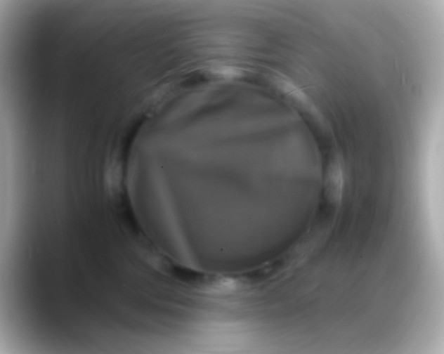 X0000088480330200706051405