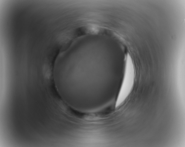 X0000088480331200706051405