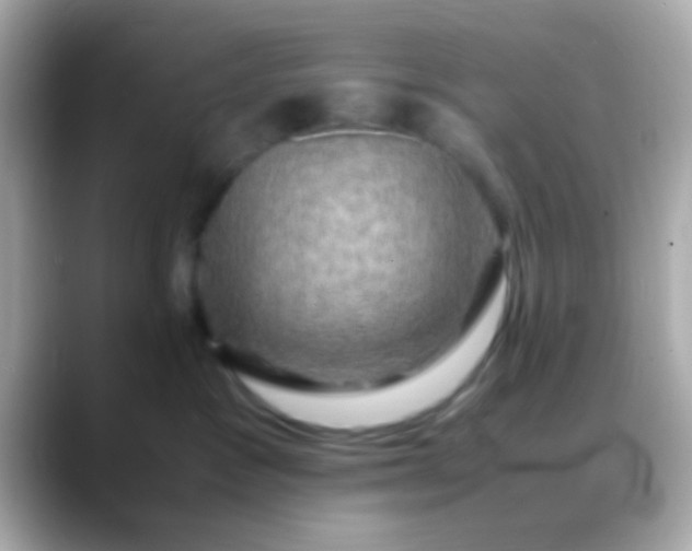 X0000088480333200706051405