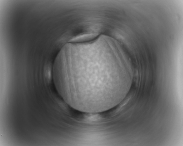 X0000088480334200706051405
