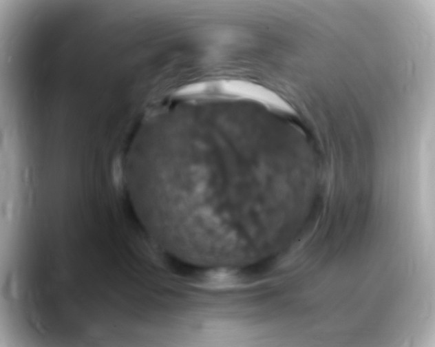 X0000088480335200706051405