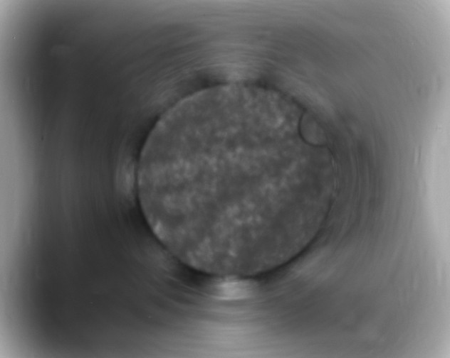 X0000088480336200706051405