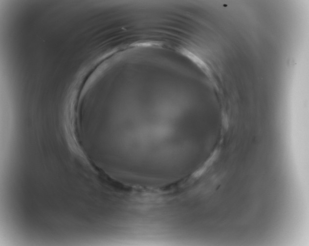 X0000088480337200706051404