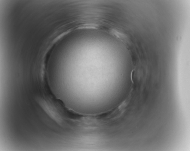 X0000088480338200706051404