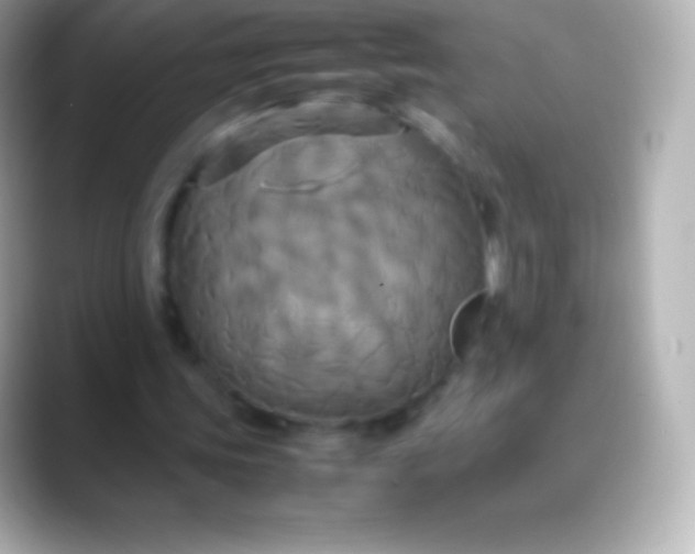 X0000088480339200706051404