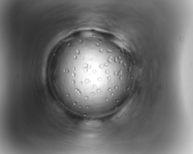 X0000088480340200706051404