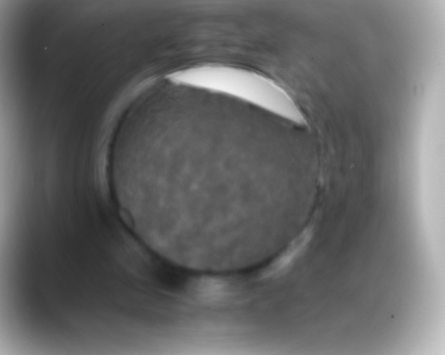 X0000088480341200706051404