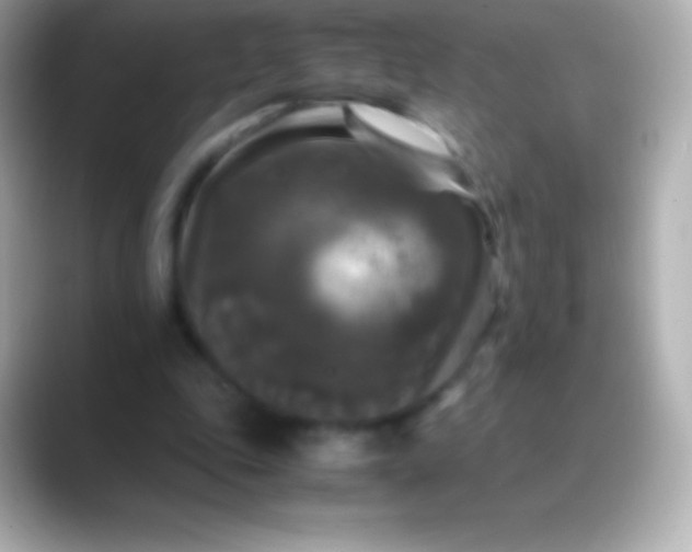 X0000088480343200706051404