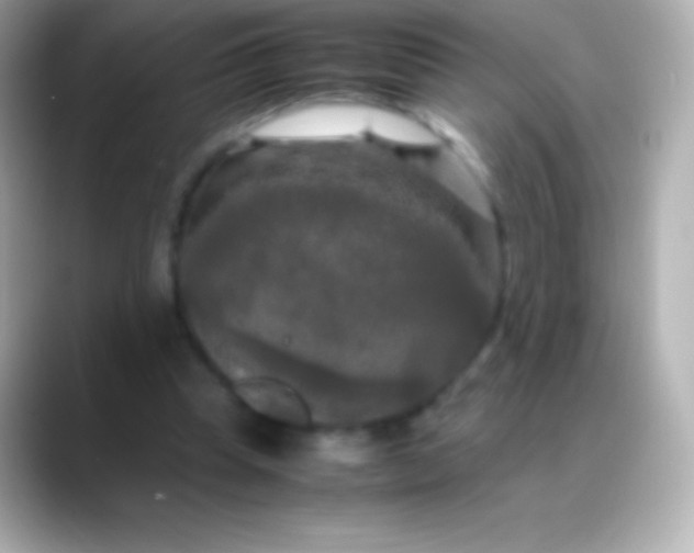 X0000088480345200706051404