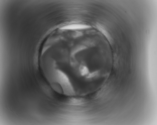 X0000088480346200706051404