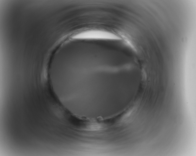 X0000088480347200706051404