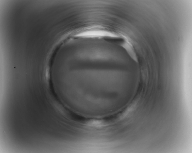 X0000088480350200706051404
