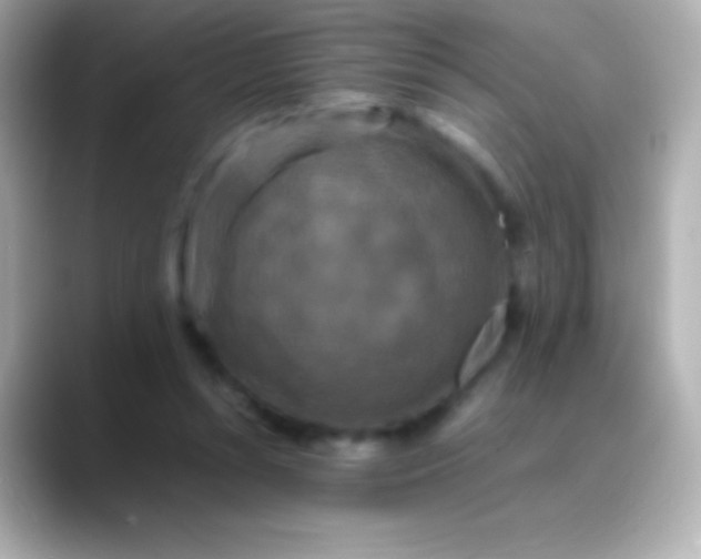 X0000088480352200706051404