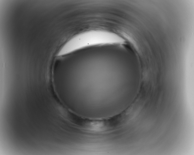 X0000088480353200706051404