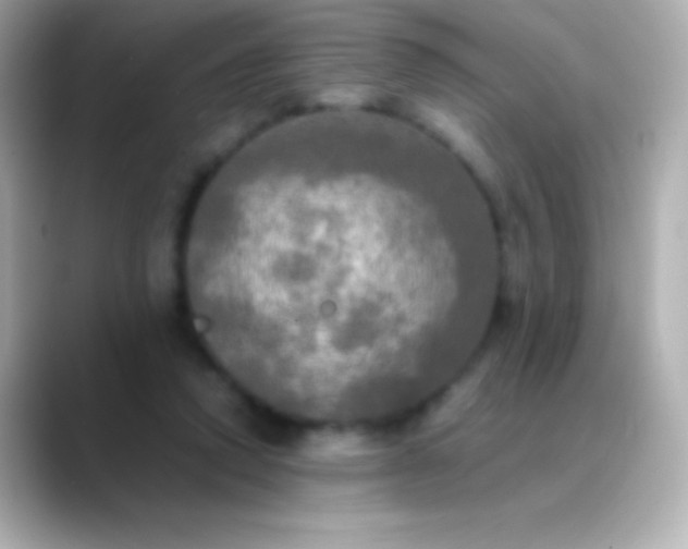 X0000088480354200706051404