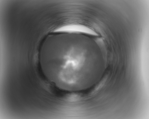 X0000088480356200706051404