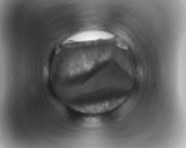 X0000088480358200706051404