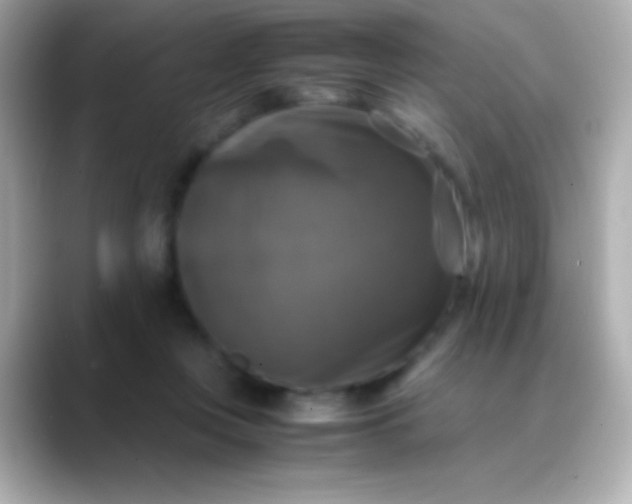 X0000088480359200706051404
