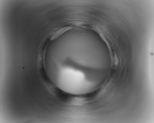 X0000088480360200706051404