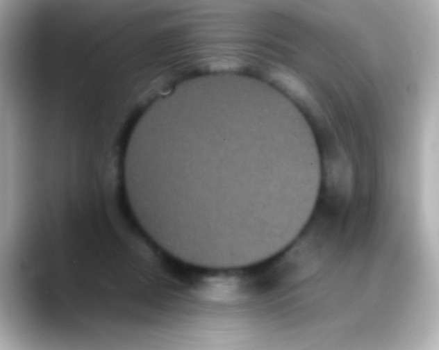 X0000088480362200706051404