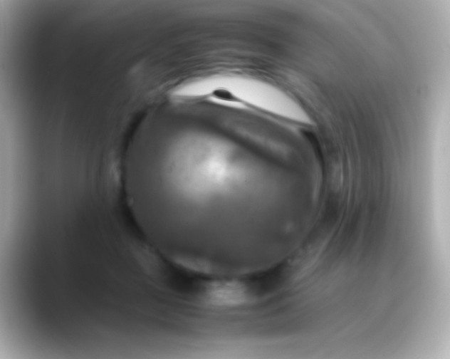 X0000088480363200706051404