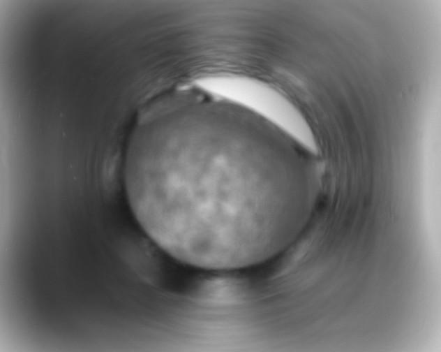 X0000088480364200706051404