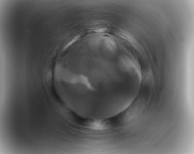 X0000088480365200706051404