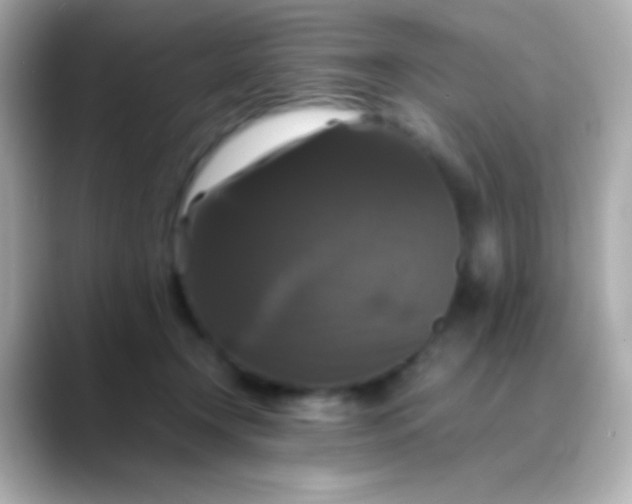 X0000088480366200706051404