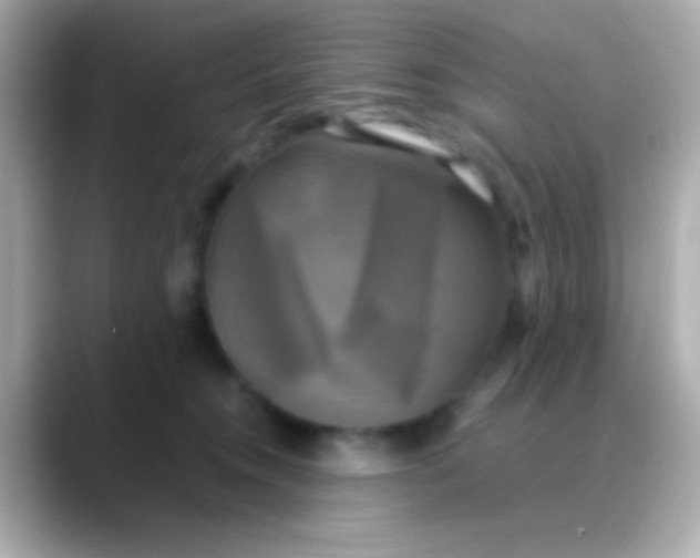 X0000088480372200706051404