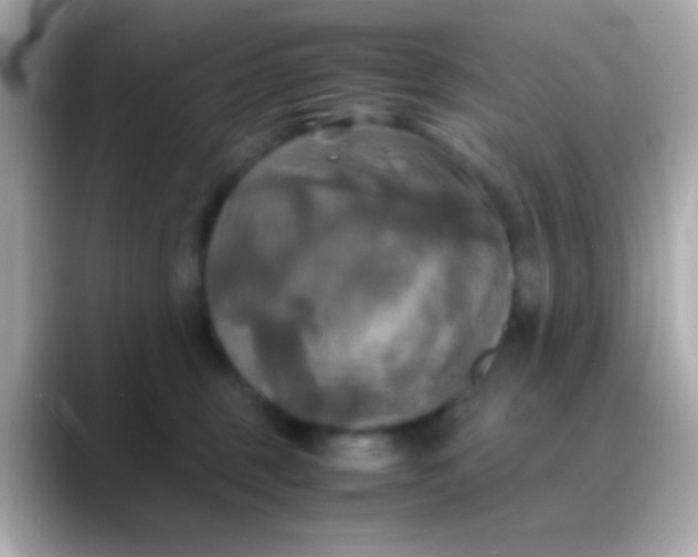 X0000088480375200706051405