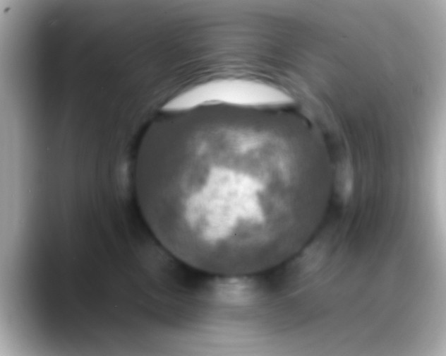X0000088480378200706051405