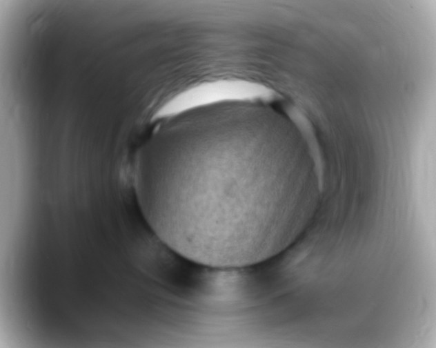 X0000088480384200706051405