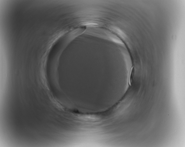 X0000088480385200706051404