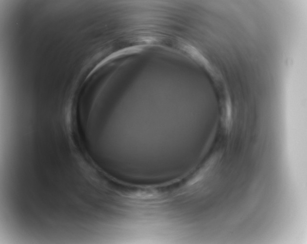 X0000088480386200706051404