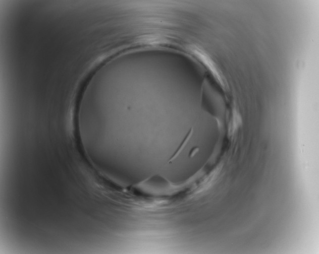 X0000088480387200706051404