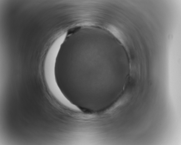 X0000088480389200706051404