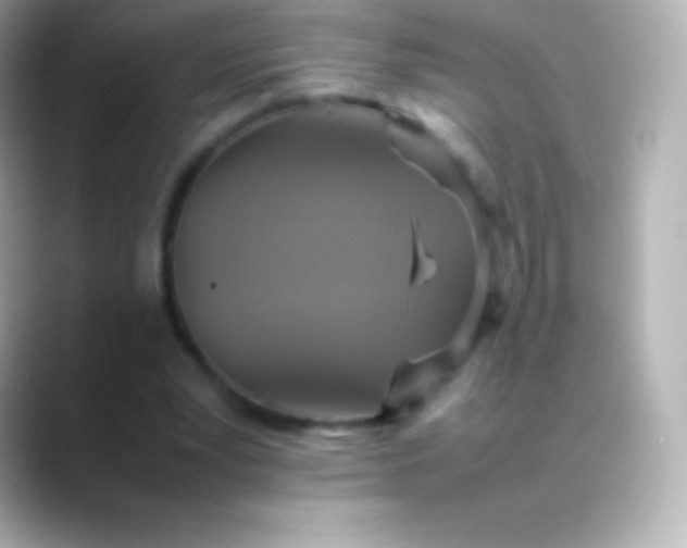 X0000088480391200706051404