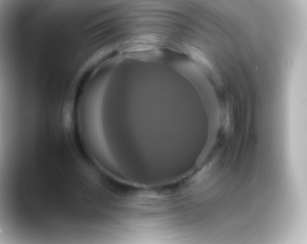 X0000088480392200706051404