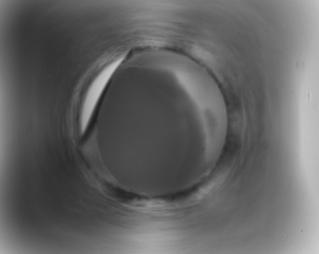 X0000088480395200706051404