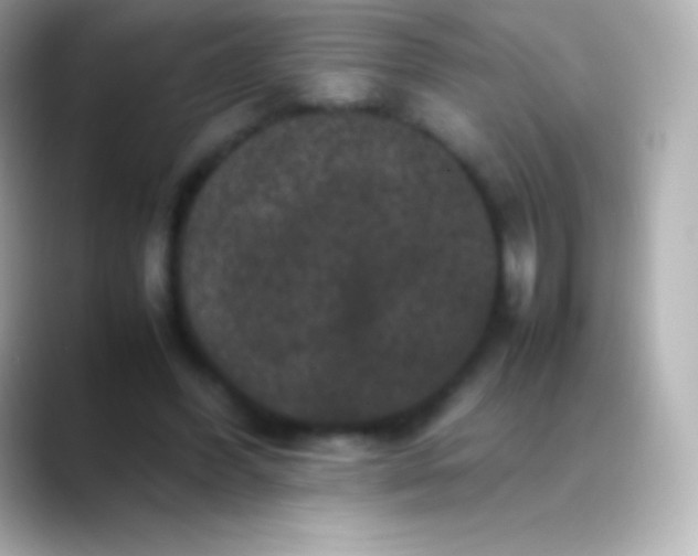 X0000088480396200706051404