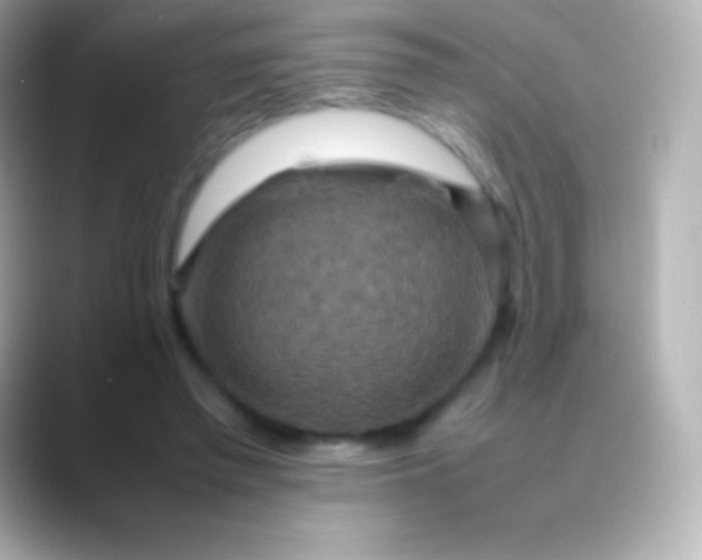X0000088480397200706051404