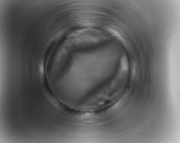 X0000088480398200706051404