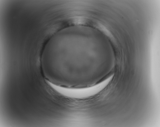 X0000088480401200706051404