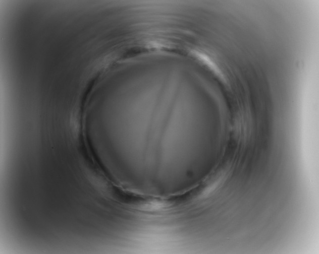X0000088480402200706051404