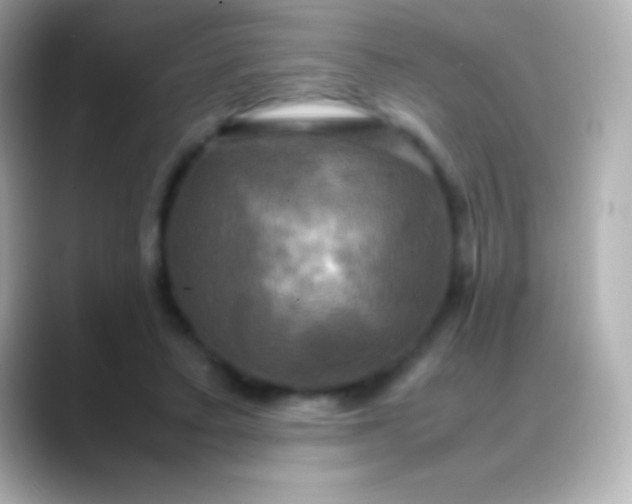 X0000088480403200706051404
