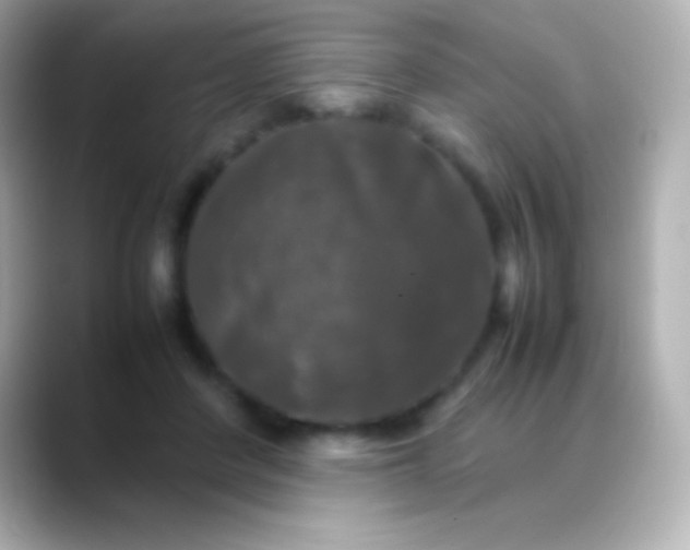 X0000088480408200706051404