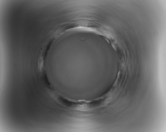 X0000088480411200706051404