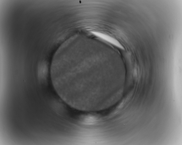 X0000088480412200706051404
