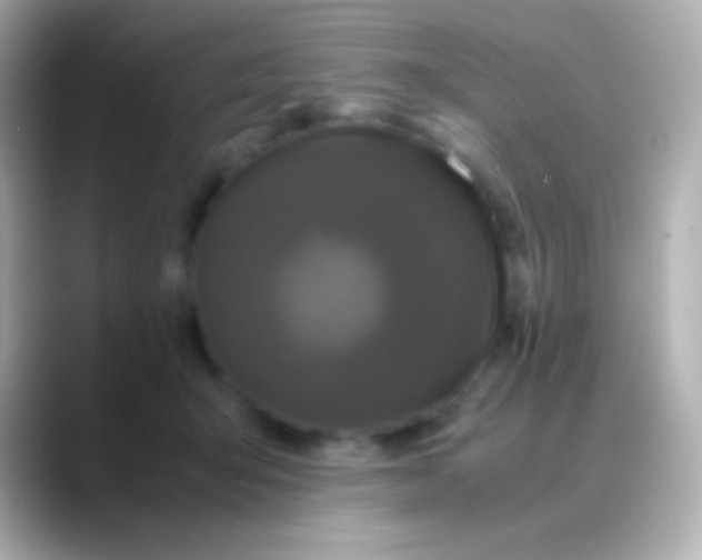 X0000088480415200706051404